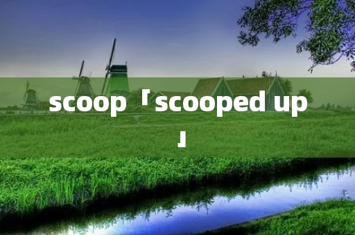 scoop「scooped up」 scoop「scooped up」