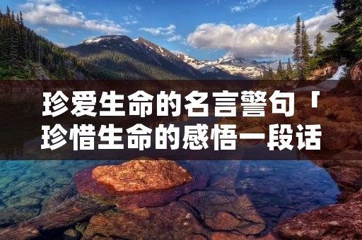 珍爱生命的名言警句「珍惜生命的感悟一段话」