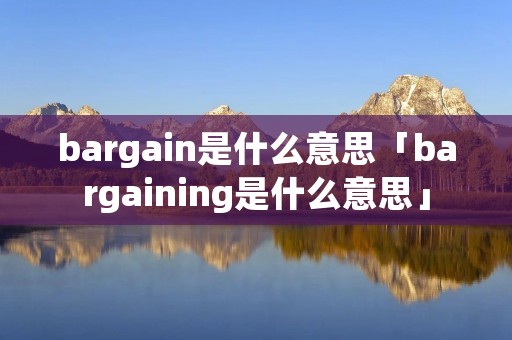 bargain是什么意思「bargaining是什么意思」