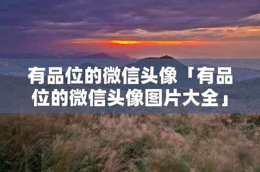 有品位的微信头像「有品位的微信头像图片大全」