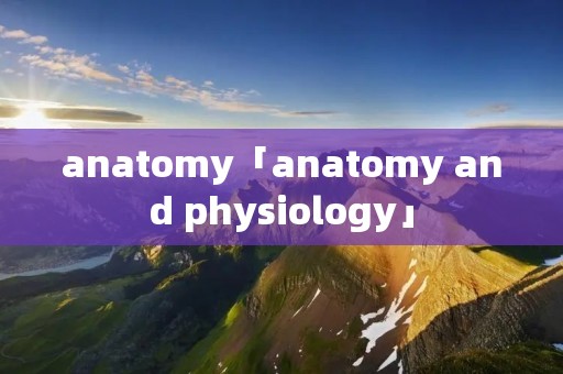anatomy「anatomy and physiology」