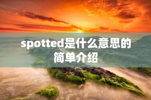 spotted是什么意思的简单介绍
