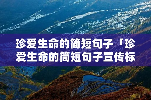 珍爱生命的简短句子「珍爱生命的简短句子宣传标语」