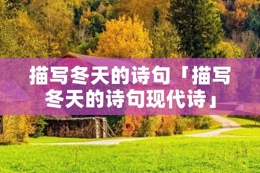 描写冬天的诗句「描写冬天的诗句现代诗」