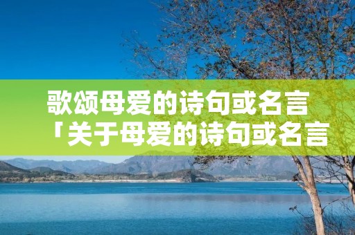 歌颂母爱的诗句或名言「关于母爱的诗句或名言」