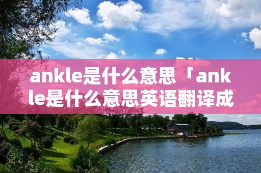 ankle是什么意思「ankle是什么意思英语翻译成中文」