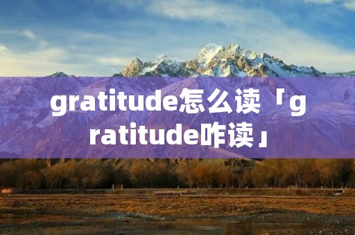 gratitude怎么读「gratitude咋读」