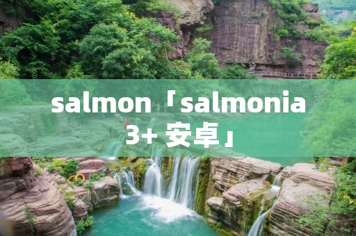salmon「salmonia3+ 安卓」 salmon「salmonia3+ 安卓」
