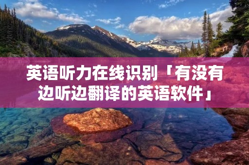 英语听力在线识别「有没有边听边翻译的英语软件」