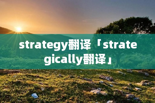 strategy翻译「strategically翻译」
