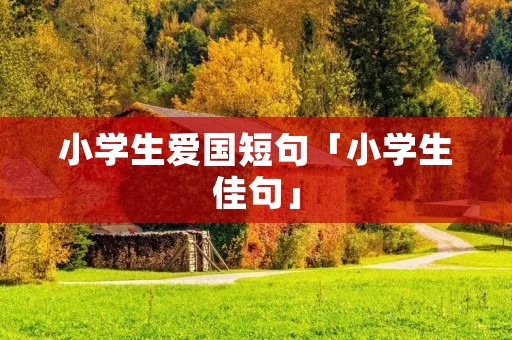 小学生爱国短句「小学生佳句」