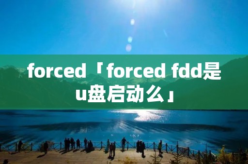 forced「forced fdd是u盘启动么」
