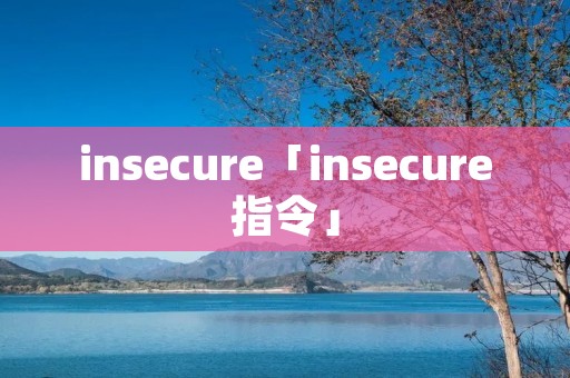 insecure「insecure指令」