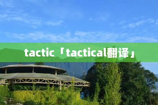 tactic「tactical翻译」