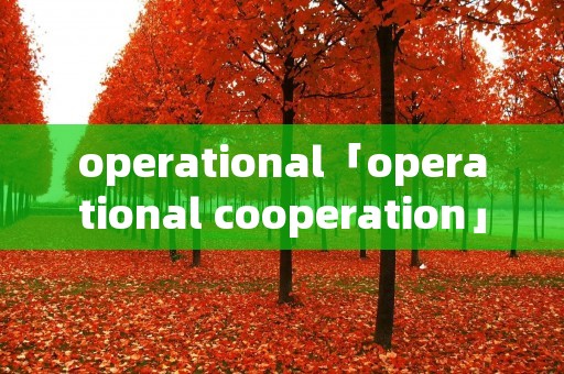 operational「operational cooperation」