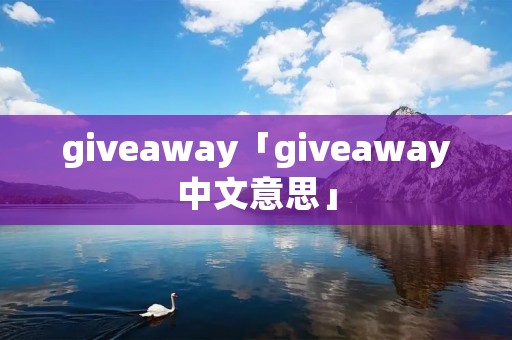 giveaway「giveaway中文意思」