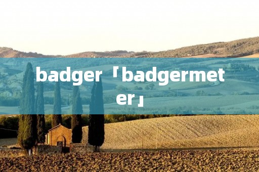 badger「badgermeter」