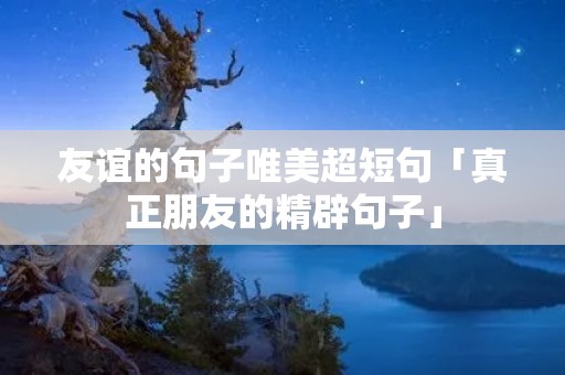 友谊的句子唯美超短句「真正朋友的精辟句子」 友谊的句子唯美超短句「真正朋友的精辟句子」