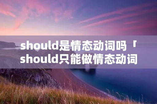 should是情态动词吗「should只能做情态动词吗?」