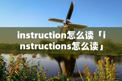 instruction怎么读「instructions怎么读」