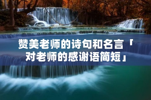 赞美老师的诗句和名言「对老师的感谢语简短」