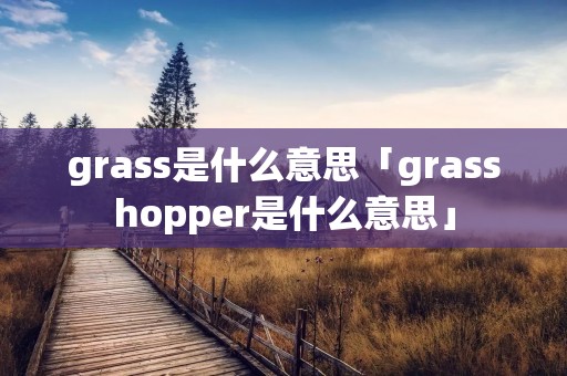 grass是什么意思「grasshopper是什么意思」 grass是什么意思「grasshopper是什么意思」