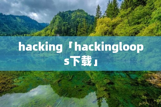 hacking「hackingloops下载」