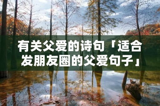 有关父爱的诗句「适合发朋友圈的父爱句子」 有关父爱的诗句「适合发朋友圈的父爱句子」
