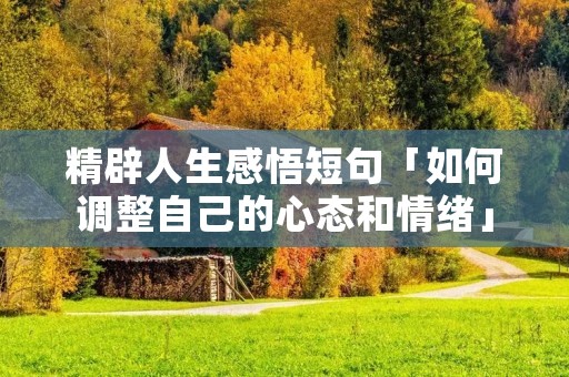 精辟人生感悟短句「如何调整自己的心态和情绪」