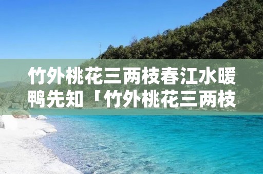 竹外桃花三两枝春江水暖鸭先知「竹外桃花三两枝春江水暖鸭先知描写了什么的景象」