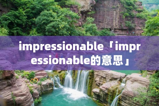 impressionable「impressionable的意思」