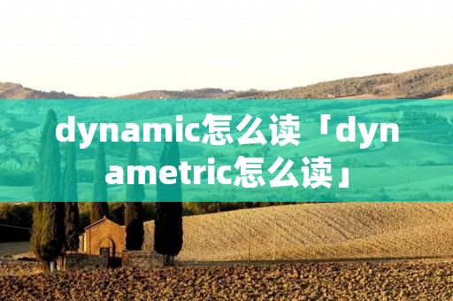dynamic怎么读「dynametric怎么读」