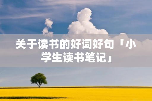 关于读书的好词好句「小学生读书笔记」