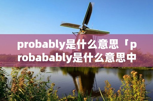probably是什么意思「probabably是什么意思中文」