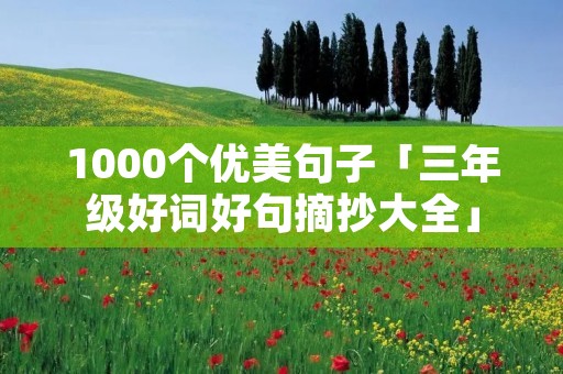 1000个优美句子「三年级好词好句摘抄大全」