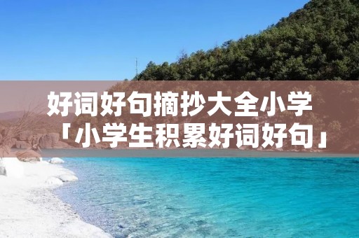 好词好句摘抄大全小学「小学生积累好词好句」