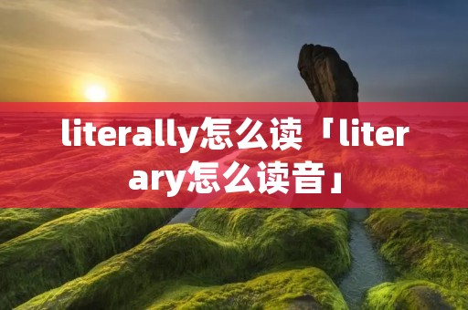 literally怎么读「literary怎么读音」 literally怎么读「literary怎么读音」