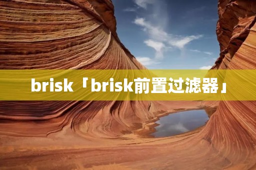 brisk「brisk前置过滤器」
