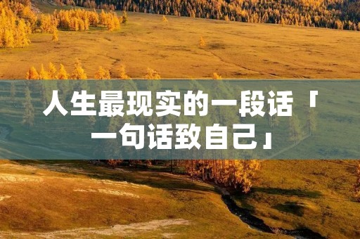 人生最现实的一段话「一句话致自己」