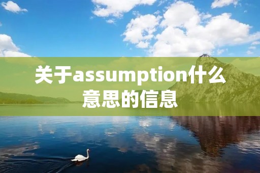 关于assumption什么意思的信息