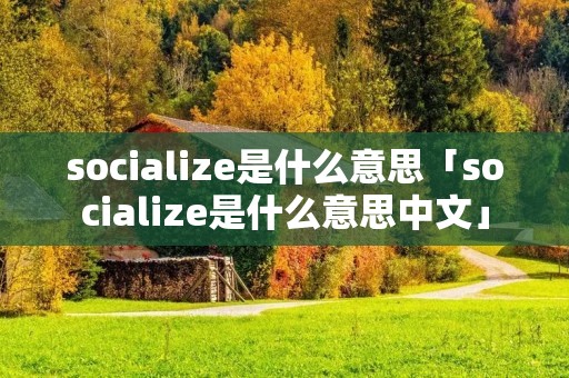 socialize是什么意思「socialize是什么意思中文」