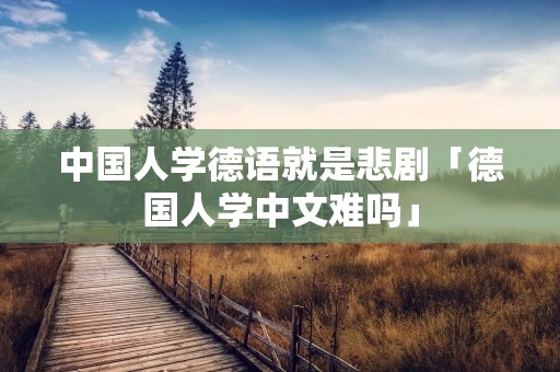 中国人学德语就是悲剧「德国人学中文难吗」 中国人学德语就是悲剧「德国人学中文难吗」
