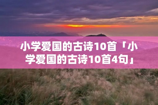 小学爱国的古诗10首「小学爱国的古诗10首4句」