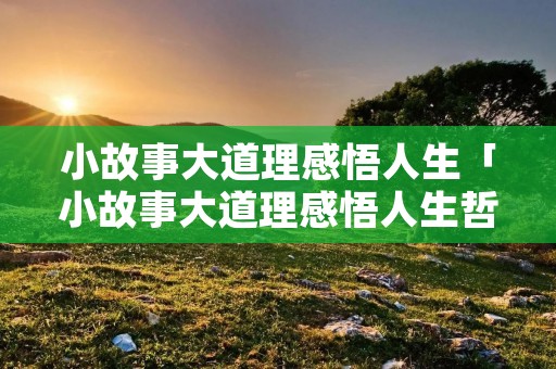 小故事大道理感悟人生「小故事大道理感悟人生哲理」