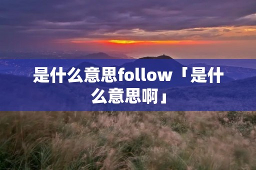 是什么意思follow「是什么意思啊」