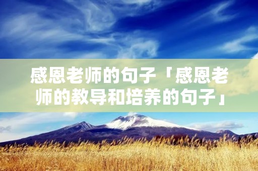 感恩老师的句子「感恩老师的教导和培养的句子」