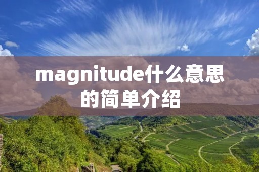 magnitude什么意思的简单介绍
