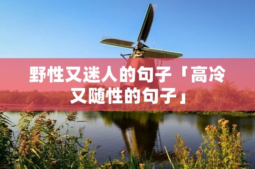 野性又迷人的句子「高冷又随性的句子」