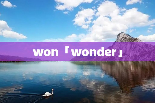 won「wonder」