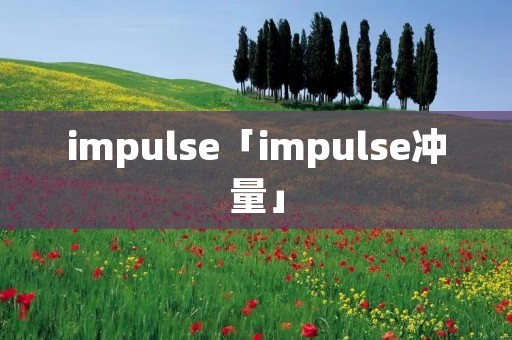 impulse「impulse冲量」